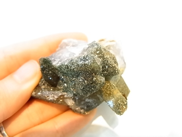 GAJ0012F ���⡼������������ ������� �ե���ɥ��ѡ����� ��եꥫ���ڴ����С�