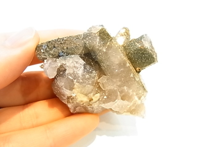 GAJ0012F ���⡼������������ ������� �ե���ɥ��ѡ����� ��եꥫ���ڴ����С�