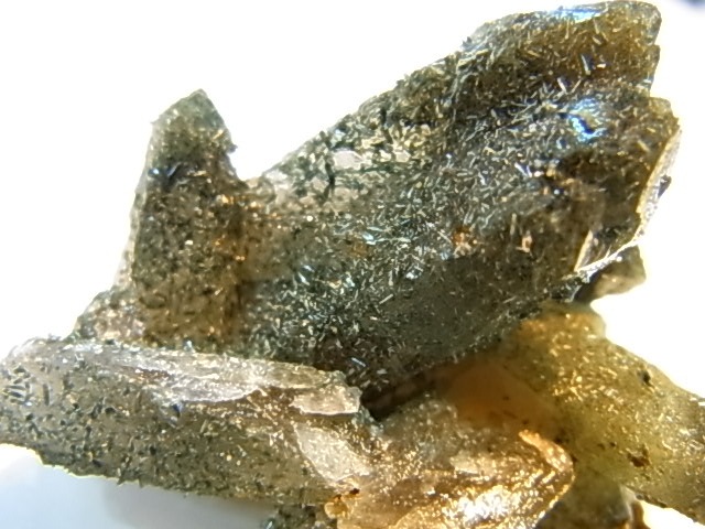 GAJ0012F ���⡼������������ ������� �ե���ɥ��ѡ����� ��եꥫ���ڴ����С�