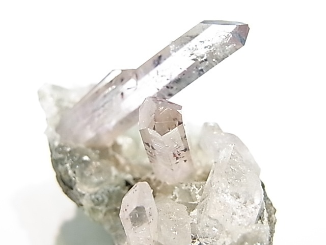 GA00047K���ʥߥӥ����᥸���ȡ����С��ʥߥӥ���