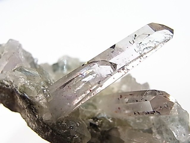 GA00047K���ʥߥӥ����᥸���ȡ����С��ʥߥӥ���