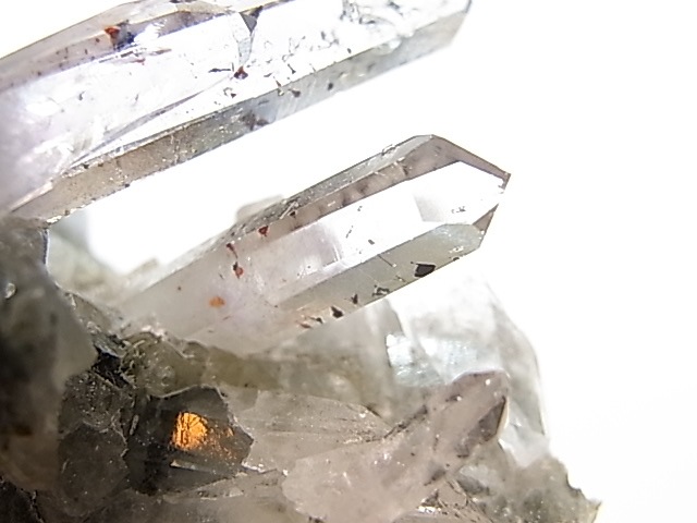 GA00047K���ʥߥӥ����᥸���ȡ����С��ʥߥӥ���