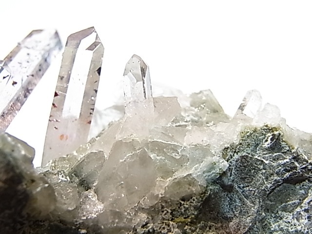 GA00047K���ʥߥӥ����᥸���ȡ����С��ʥߥӥ���