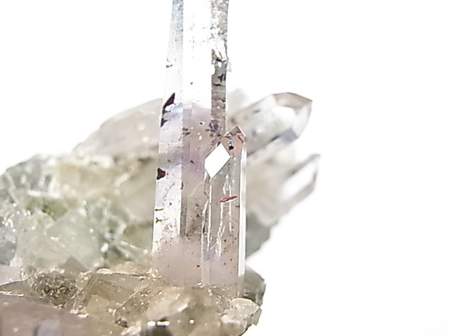 GA00047K���ʥߥӥ����᥸���ȡ����С��ʥߥӥ���