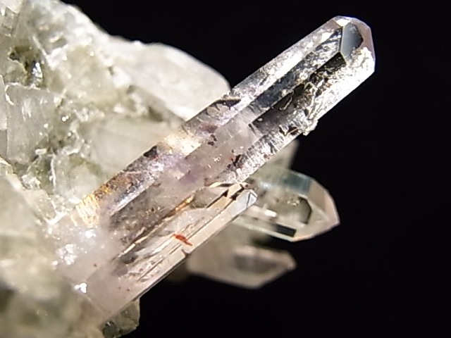 GA00047K���ʥߥӥ����᥸���ȡ����С��ʥߥӥ���