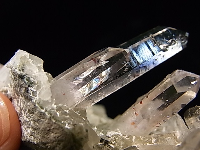 GA00047K���ʥߥӥ����᥸���ȡ����С��ʥߥӥ���