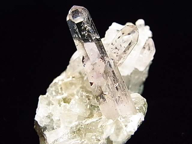 GA00047K���ʥߥӥ����᥸���ȡ����С��ʥߥӥ���