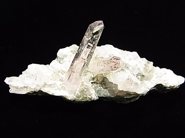 GA00047K���ʥߥӥ����᥸���ȡ����С��ʥߥӥ���