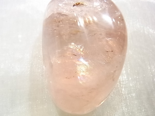 CA000108F���ԥ󥯥ե����饤�ȡ��ڥ롼�����ݥ�å�����᤭��