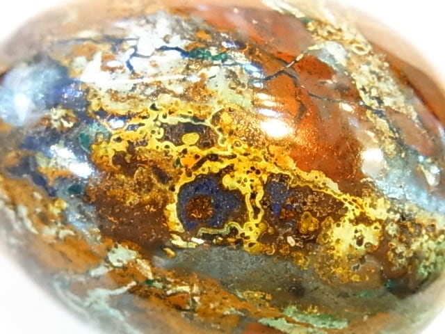 �ڥ������оݳ��ۡ�PAJ0006F�����塼�ץ饤�ȥ��å�����������