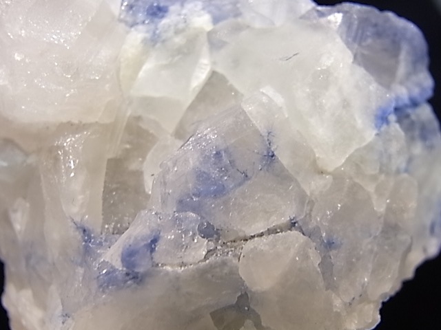 GA00062K���ǥ�������饤�ȥ��󥯥����ġ�����