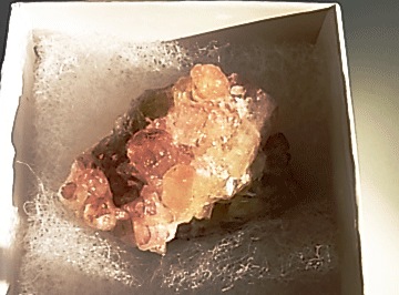 CM00386�ڵ������С� �٥��ӥ��ʥ���