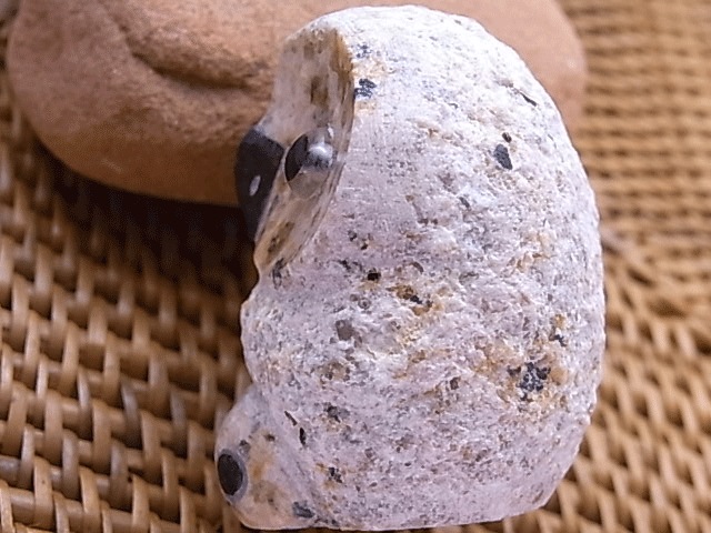 NT00019N���ե�����(�١�����)