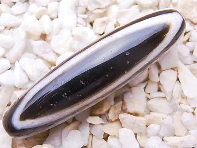 NC00022N�����ŷ��(�ü���)