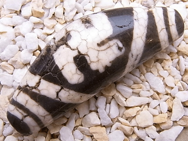 NC00041N�����ŷ��