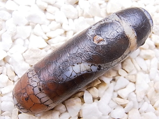 NC00046N��ǡ�ճ�ŷ��