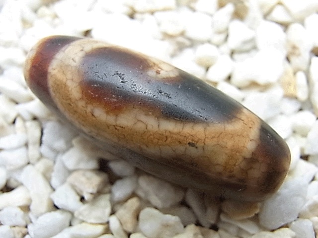 NC00062N��ǡ�ռ�ŷ��(������)