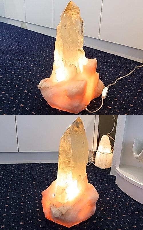 CMM0051F ���ȥ�󥫥ƥɥ�� ���ꥹ�������