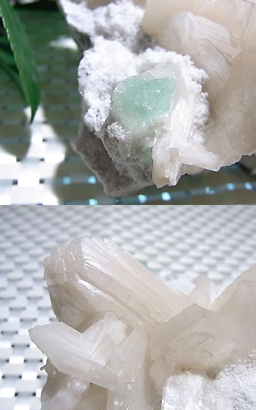 CMM0105N ���꡼�󥢥ݥե��饤�ȡ����饹����