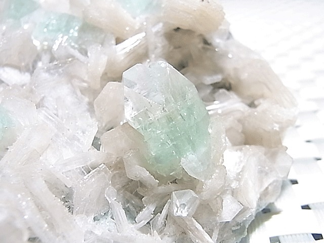 CMM0106N ���꡼�󥢥ݥե��饤�ȡ����饹����