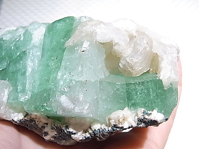 CMM0107N ���꡼�󥢥ݥե��饤��