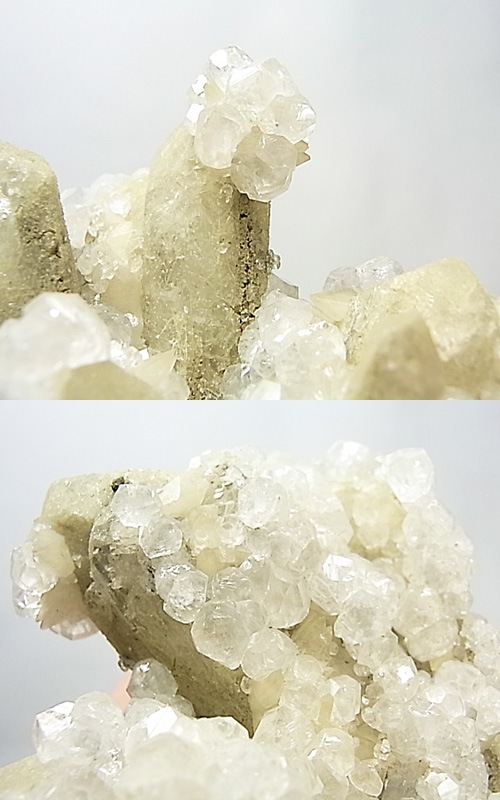 CMM0131 ����ӥ�饤�ȸ���