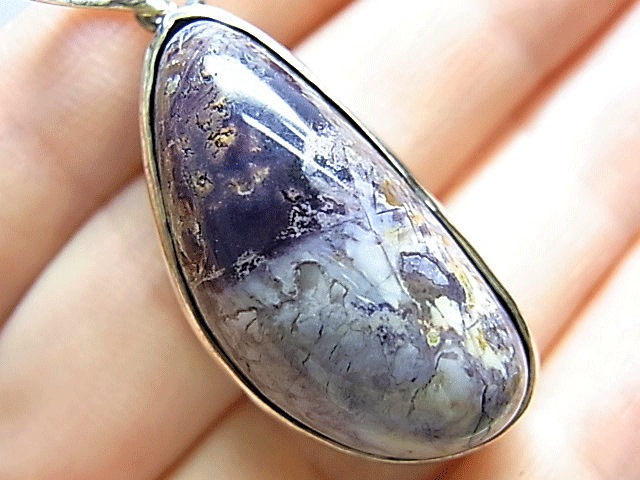 PM0126 �ƥ��ե��ˡ����ȡ��� ����С��ڥ�����