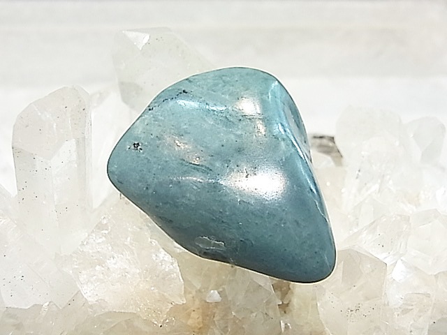 SEM0081F �ե��󥻥�֥롼�������� ����֥�