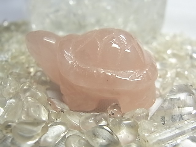 ��������������<����>