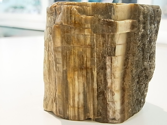 GK00015F  �ڥȥ�ե����ɥ��åɸ��С��ڴ����С�