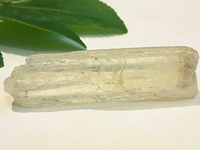 GK00033F ���ȥ�ե����󡡸��С��ڴ����С�