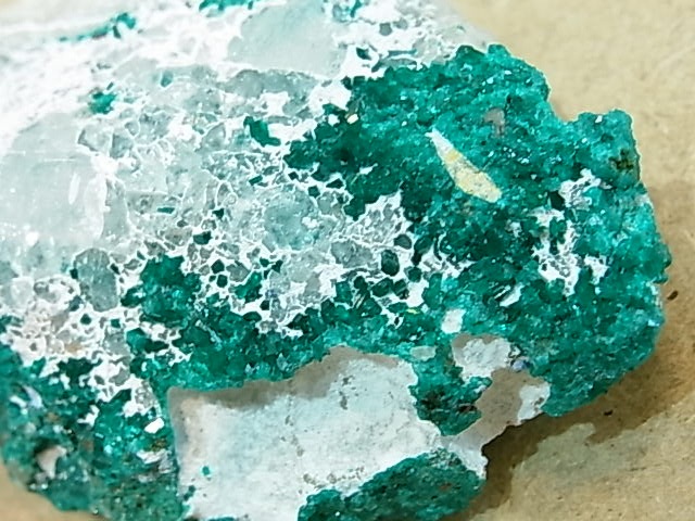 GK00035F ���������ץơ��������С��ڴ����С�