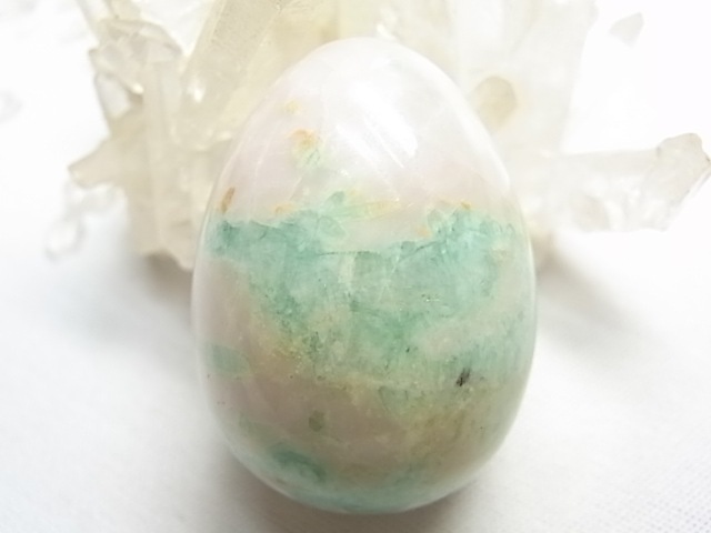 CF0007 �������