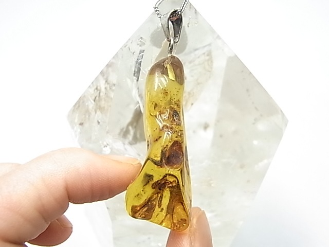 PF0089  ����С�