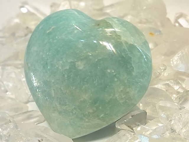 PRK00016F ޥʥȡ ϡȷݥå塡(ޥ뻺)