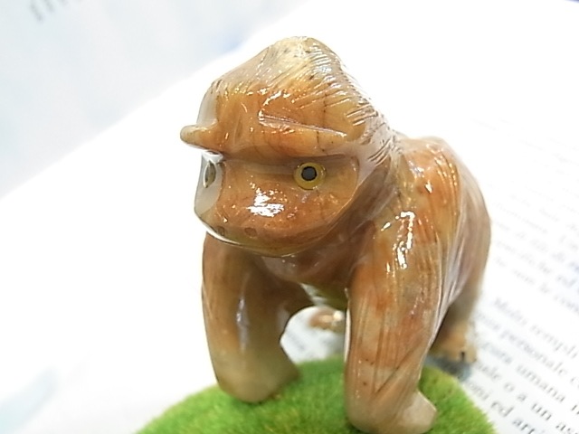 CY0021F �����ץ��ȡ���[�����]