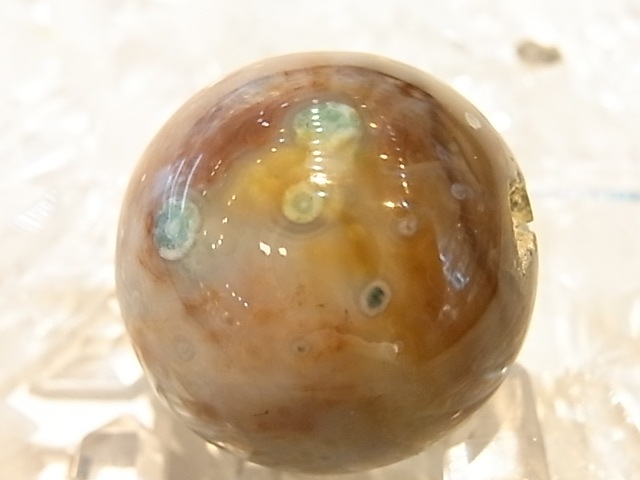 ��K00024F ��������󥸥㥹�ѡ����ݶ�