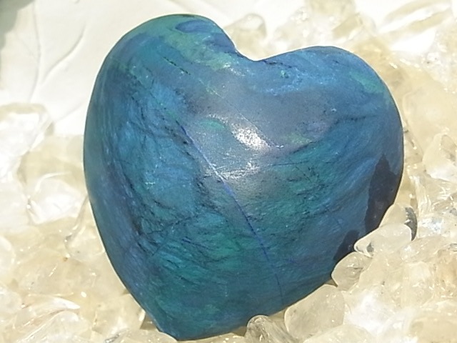 CY0026F �ʥߥӥ��������饤�ȡ��ϡ��ȥݥ�å���