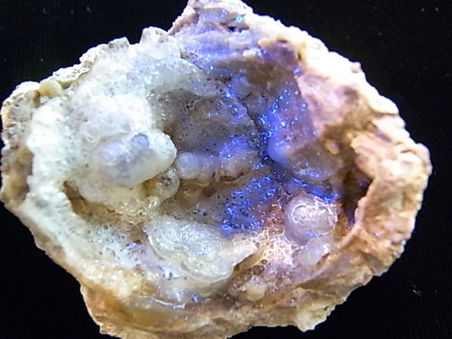 GK00088F  �ϥ����饤�ȸ��С�(�ϥ󥬥꡼��)���ڴ����Сۡ�