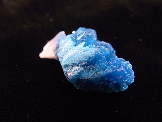 BU0126F ���Х󥵥��ȸ��С�����ɻ�