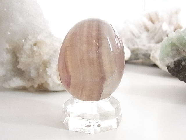 BU00134F �ե����饤�� ���å�