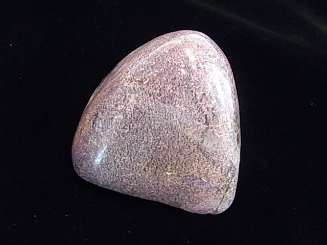 BU00143F ���ƥ��ҥ����ȸ��С���եꥫ��