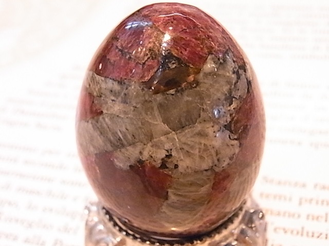 EK00029F ������Т�桼�ǥ����饤�ȡ����å���(��������)