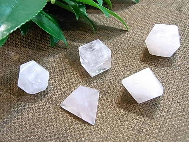 UE00094K �ץ�ȥ�Ω�Ρ�5�ĥ��å�