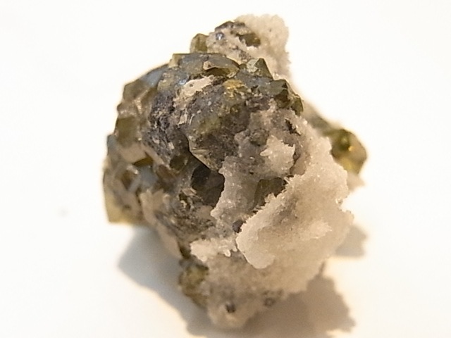 ��K00273F ���ե���饤�ȡ����С��ڴ����С�(�֥륬�ꥢ��)