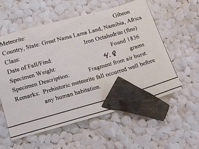 BU00205Fƥ饤 Gibeon