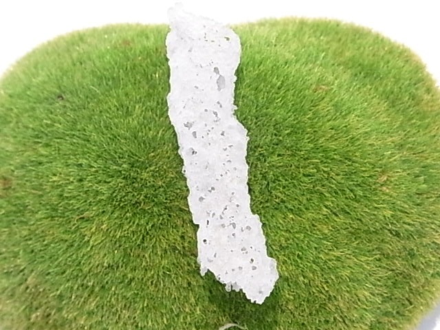 BU00207F �ե륰�饤��