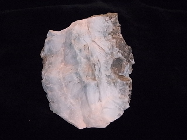 BU00286F ���ޡ�����
