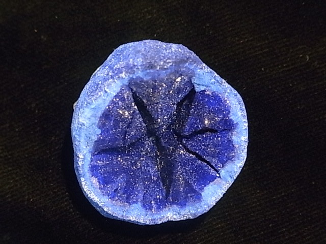 GA0004F �������� �����饤�ȸ���