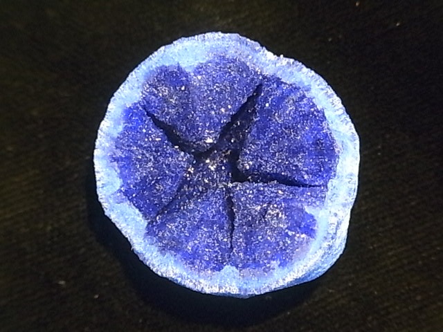 GA0006F �������� �����饤�ȸ���